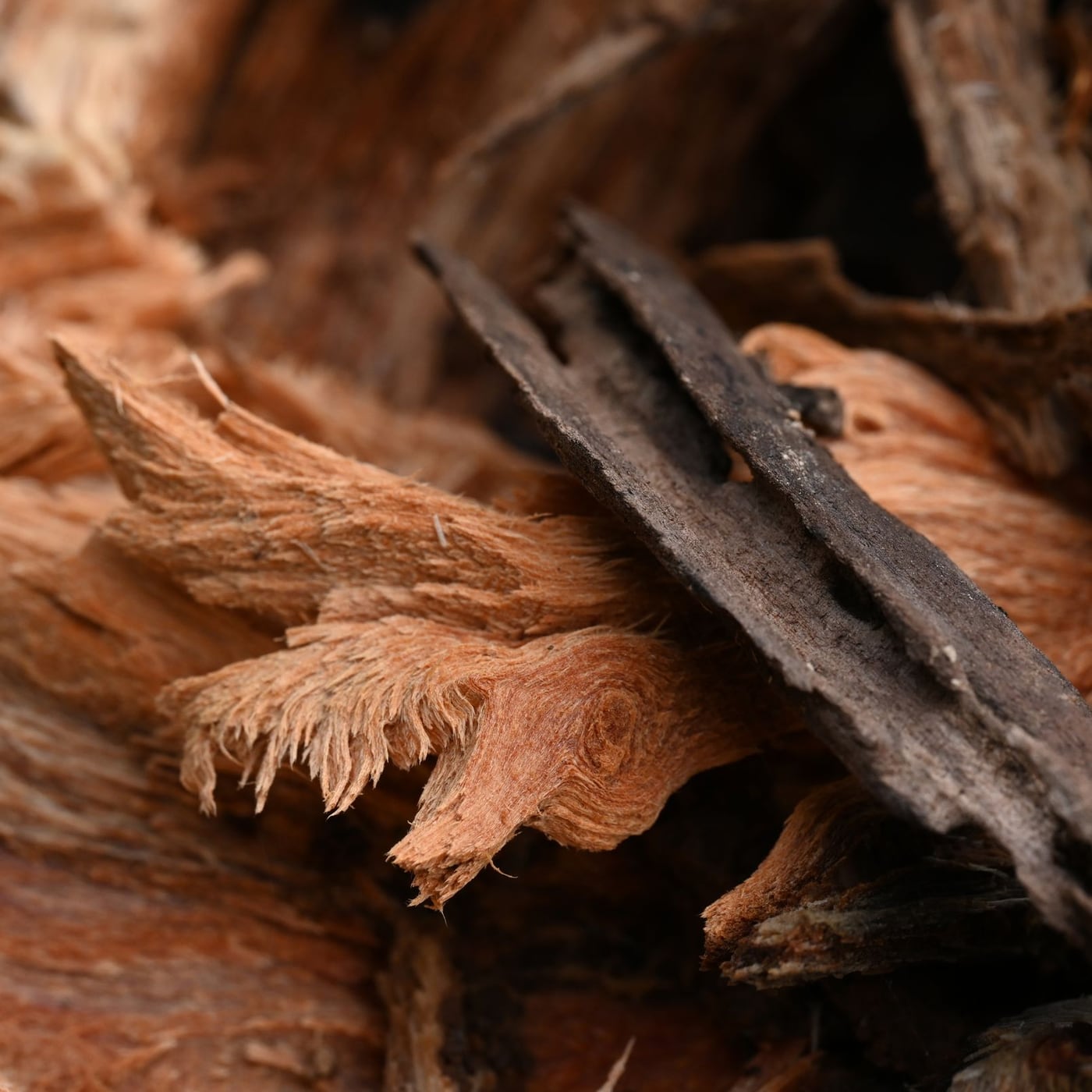 Detail shot of the grain of high-quality spruce wood for instrument tops.